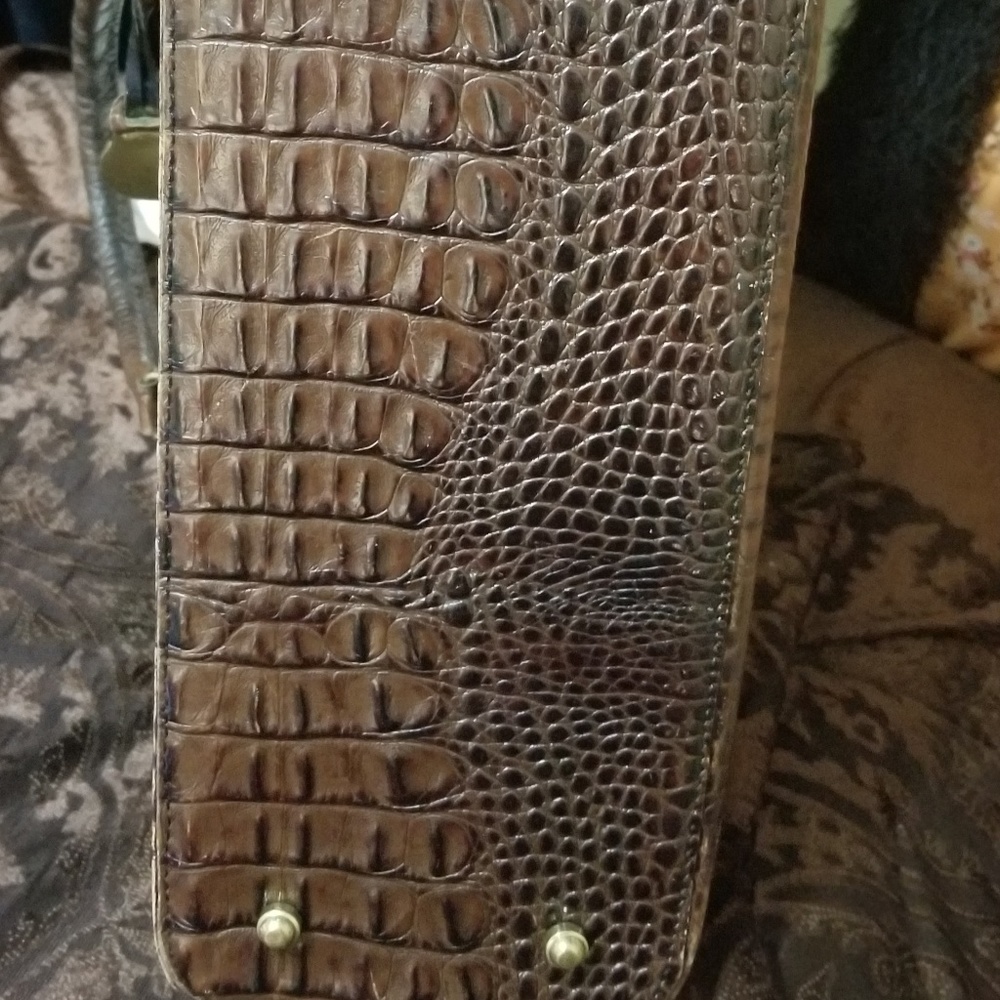 BRAHMIN - Picture 4 of 4